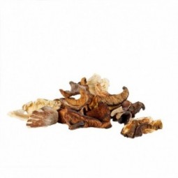 Dried Mixed Forest Mushrooms (500g)